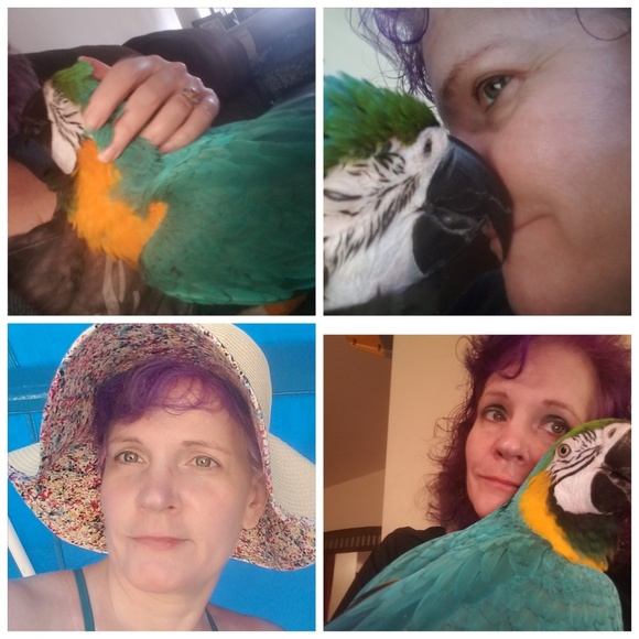 MEET THE POSHER - Picture 4 of 8